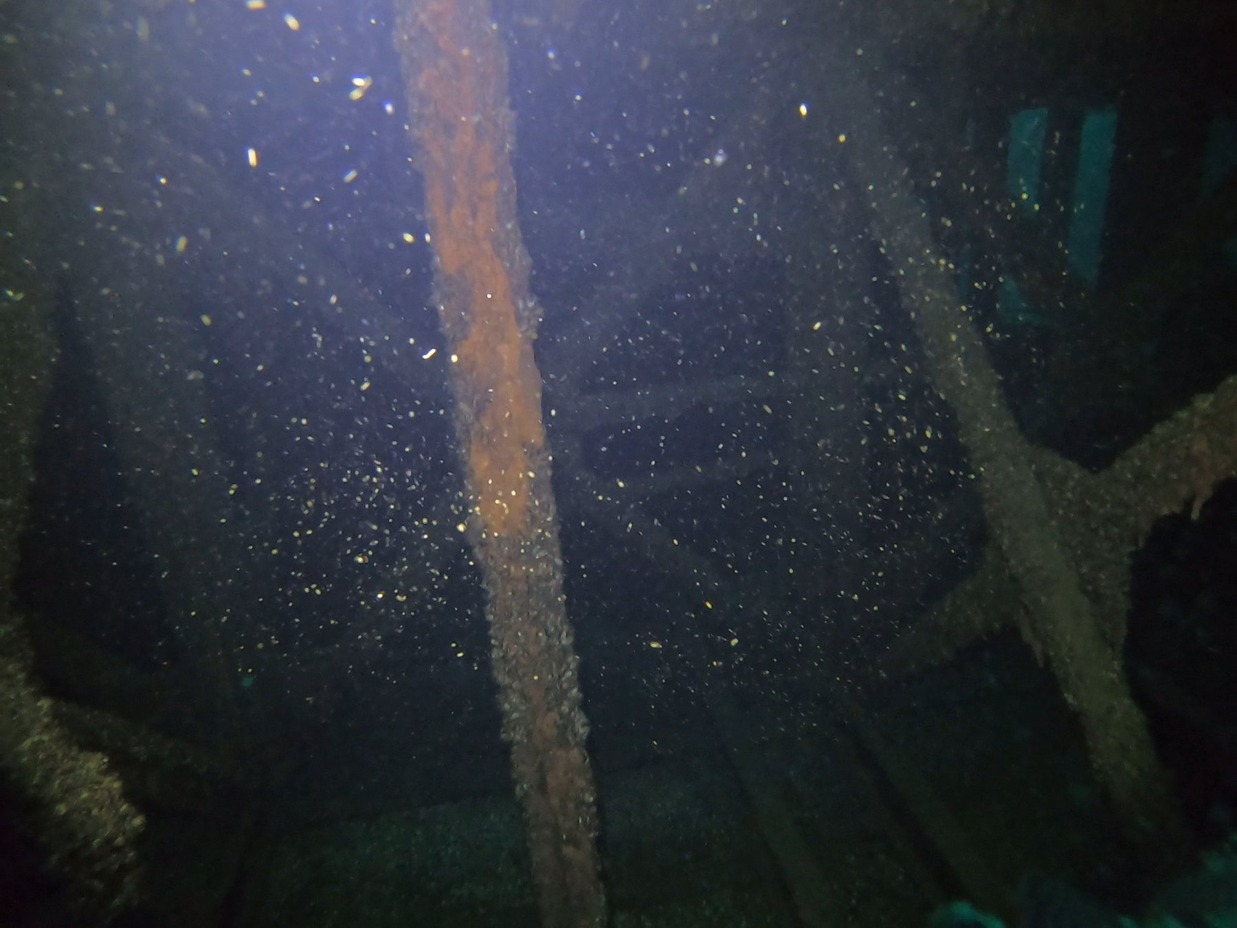 Barge 135 survey photograph, frame 20