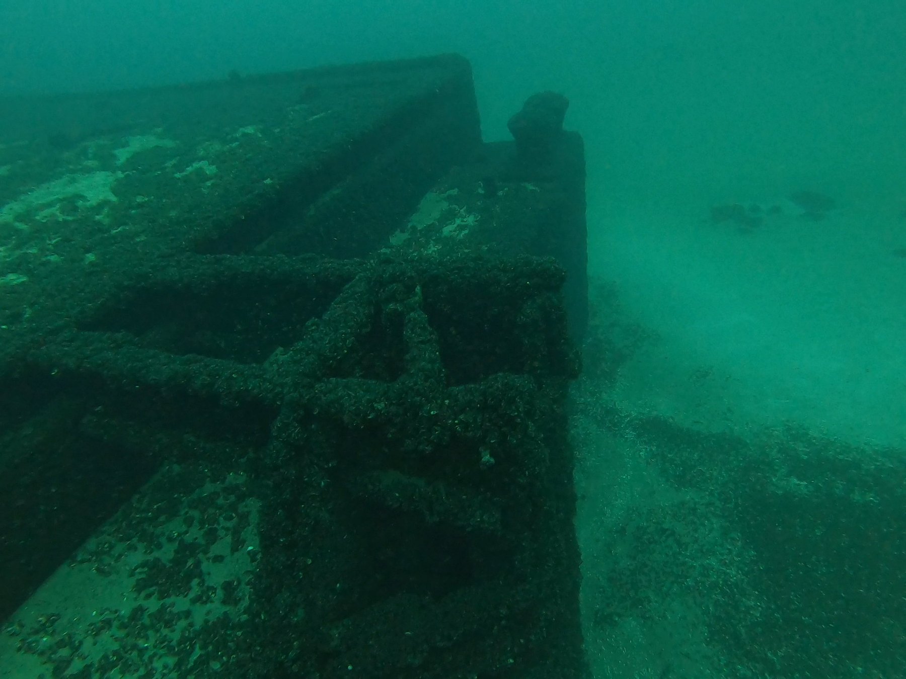 Barge 135 survey photograph, frame 25