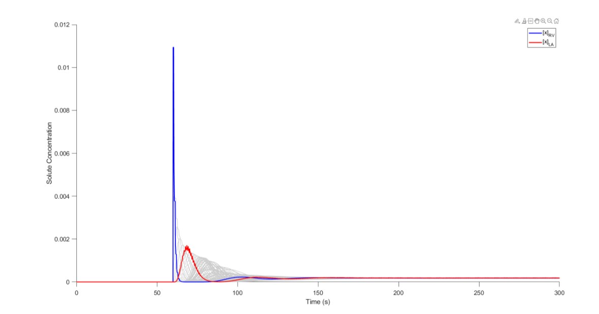 Solute concentration over time across all compartments for the beating heart condition