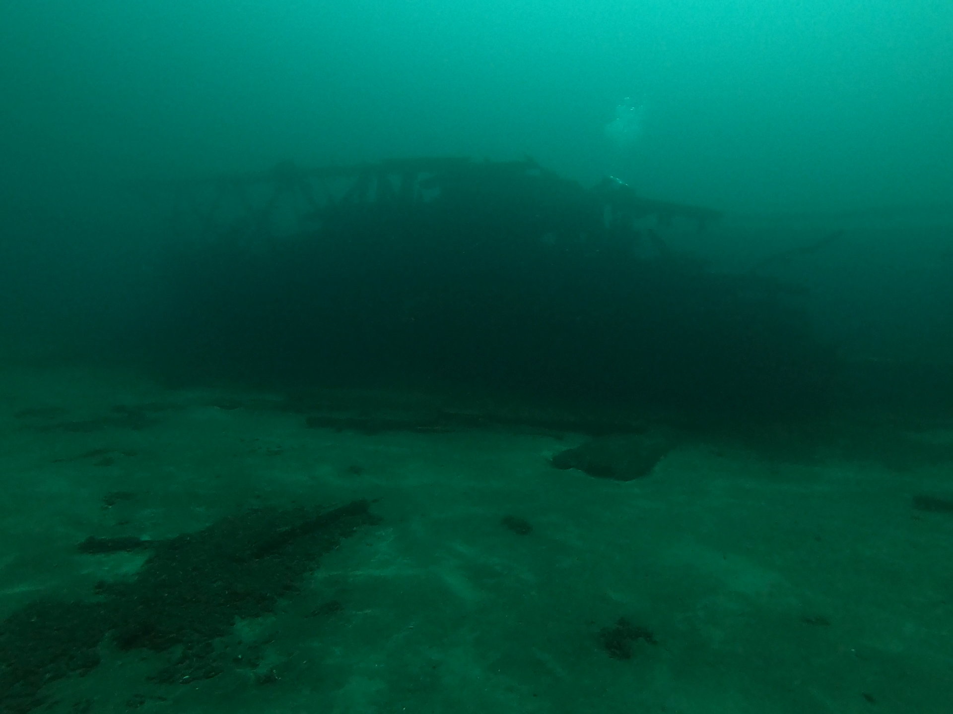 Bud’s Steamer, photo 02