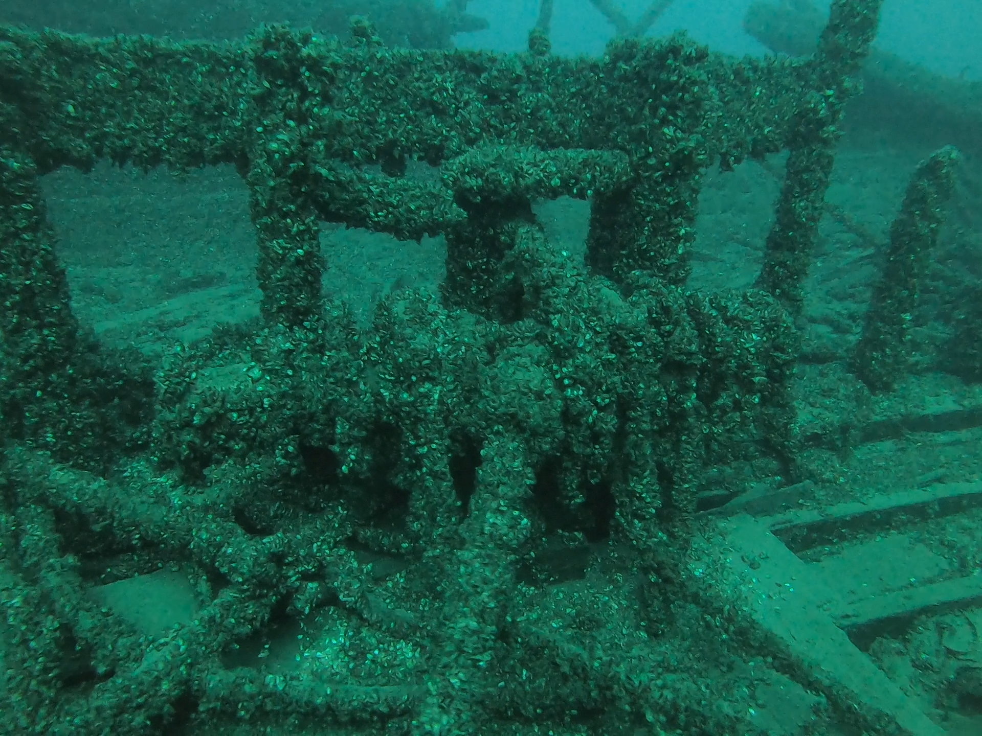 Bud’s Steamer, photo 05