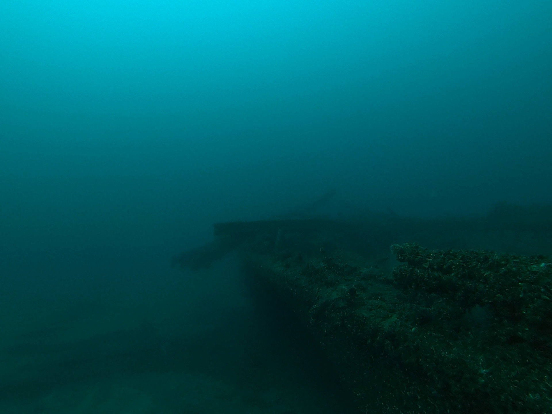 Bud’s Steamer, photo 20